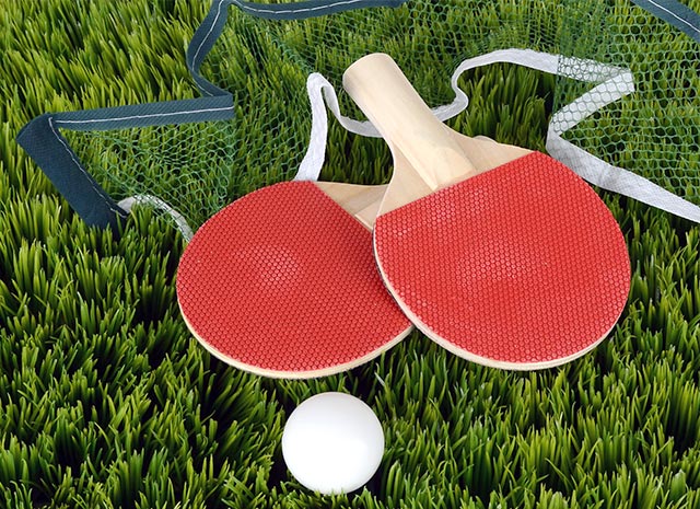 table tennis equipment